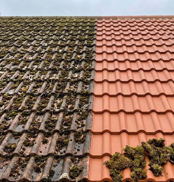 Roof cleaning and moss removal on a tiled roof in Hastings
